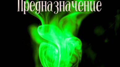 Photo of Любовь: сила, способная изменить мир