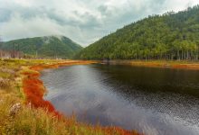 Photo of Природные богатства Амурской области