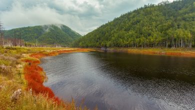 Photo of Природные богатства Амурской области